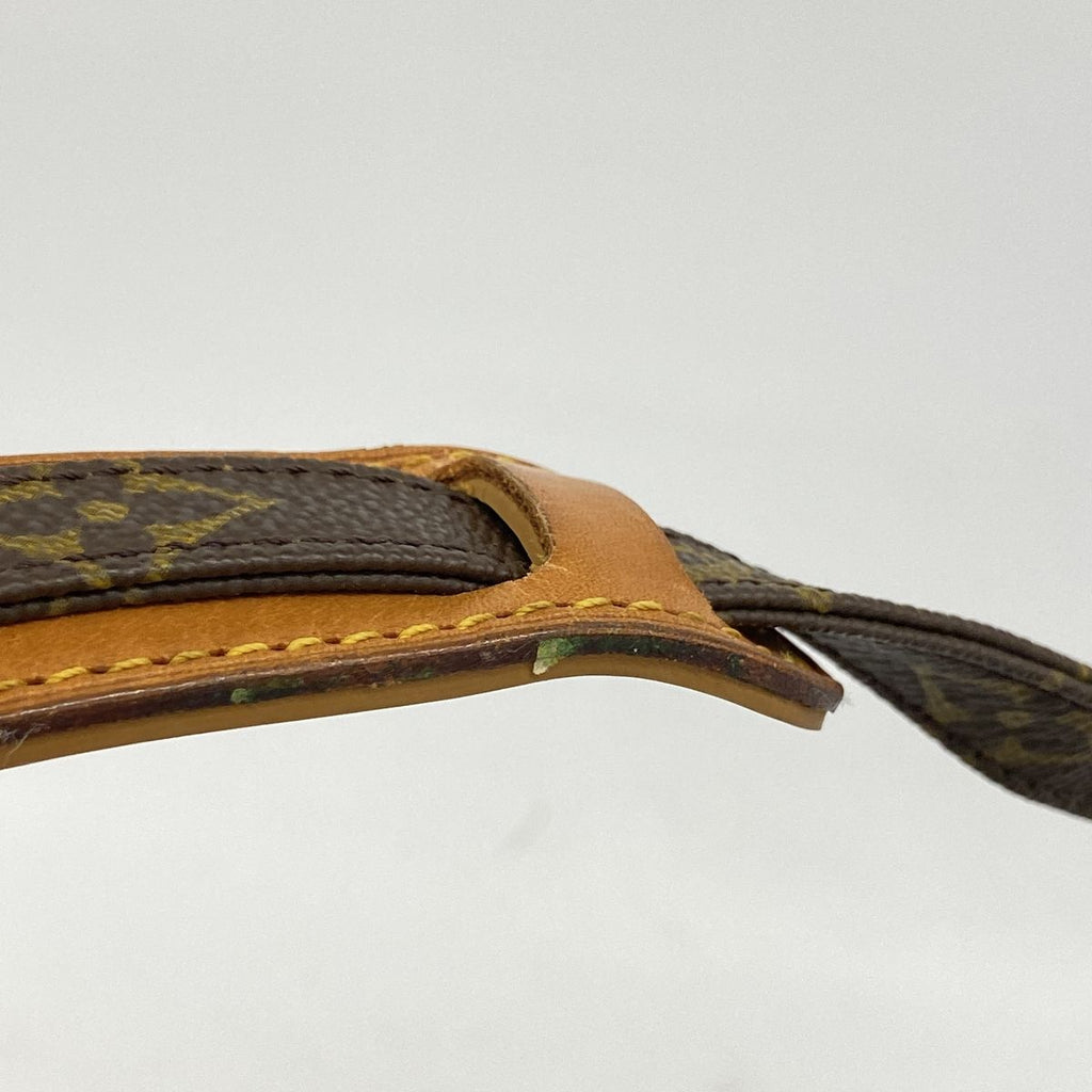 Louis Vuitton Shoulder Bag Monogram Mini Amazon Brown — view 8