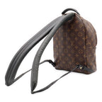 Louis Vuitton Monogram Palm Springs Backpack PM Shoulder Bag — view 2