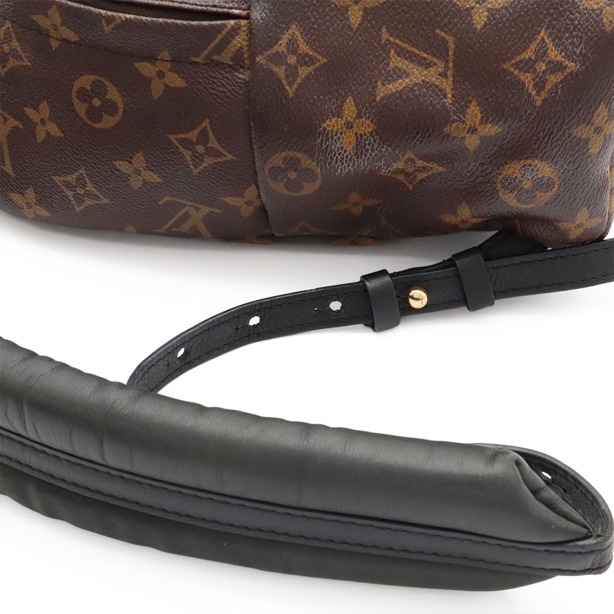 Louis Vuitton Monogram Palm Springs Backpack PM Shoulder Bag — view 5