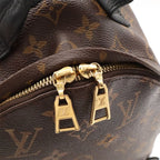 Louis Vuitton Monogram Palm Springs Backpack PM Shoulder Bag — view 6