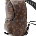 Louis Vuitton Monogram Palm Springs Backpack PM Shoulder Bag — view 7