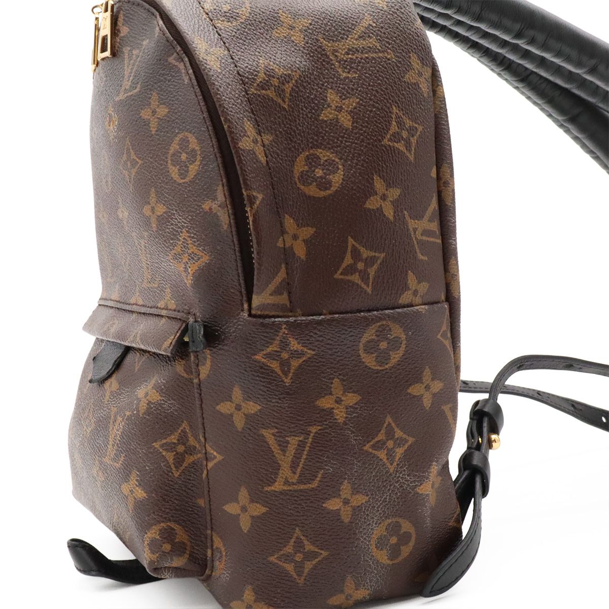Louis Vuitton Monogram Palm Springs Backpack PM Shoulder Bag — view 7