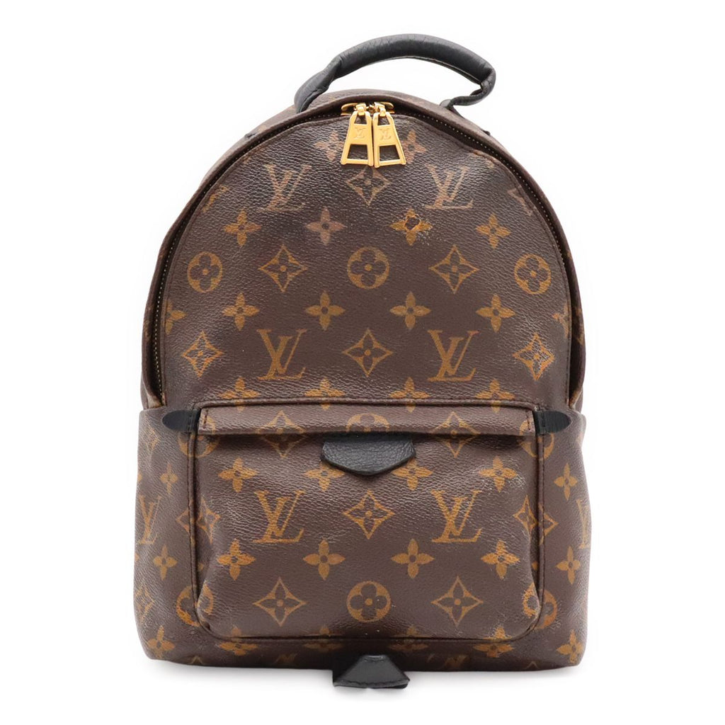 Louis Vuitton Monogram Palm Springs Backpack PM Shoulder Bag