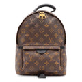 Louis Vuitton Monogram Palm Springs Backpack PM Shoulder Bag