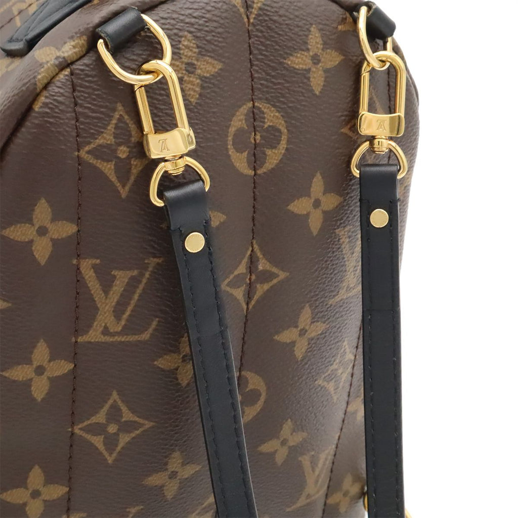 Louis Vuitton Monogram Palm Springs Backpack Mini 2-Way Shoulder Bag — view 4