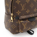 Louis Vuitton Monogram Palm Springs Backpack Mini 2-Way Shoulder Bag — view 7