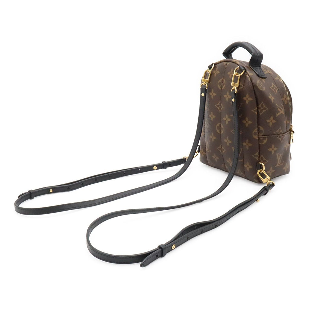 Louis Vuitton Monogram Palm Springs Backpack Mini 2-Way Shoulder Bag — view 2