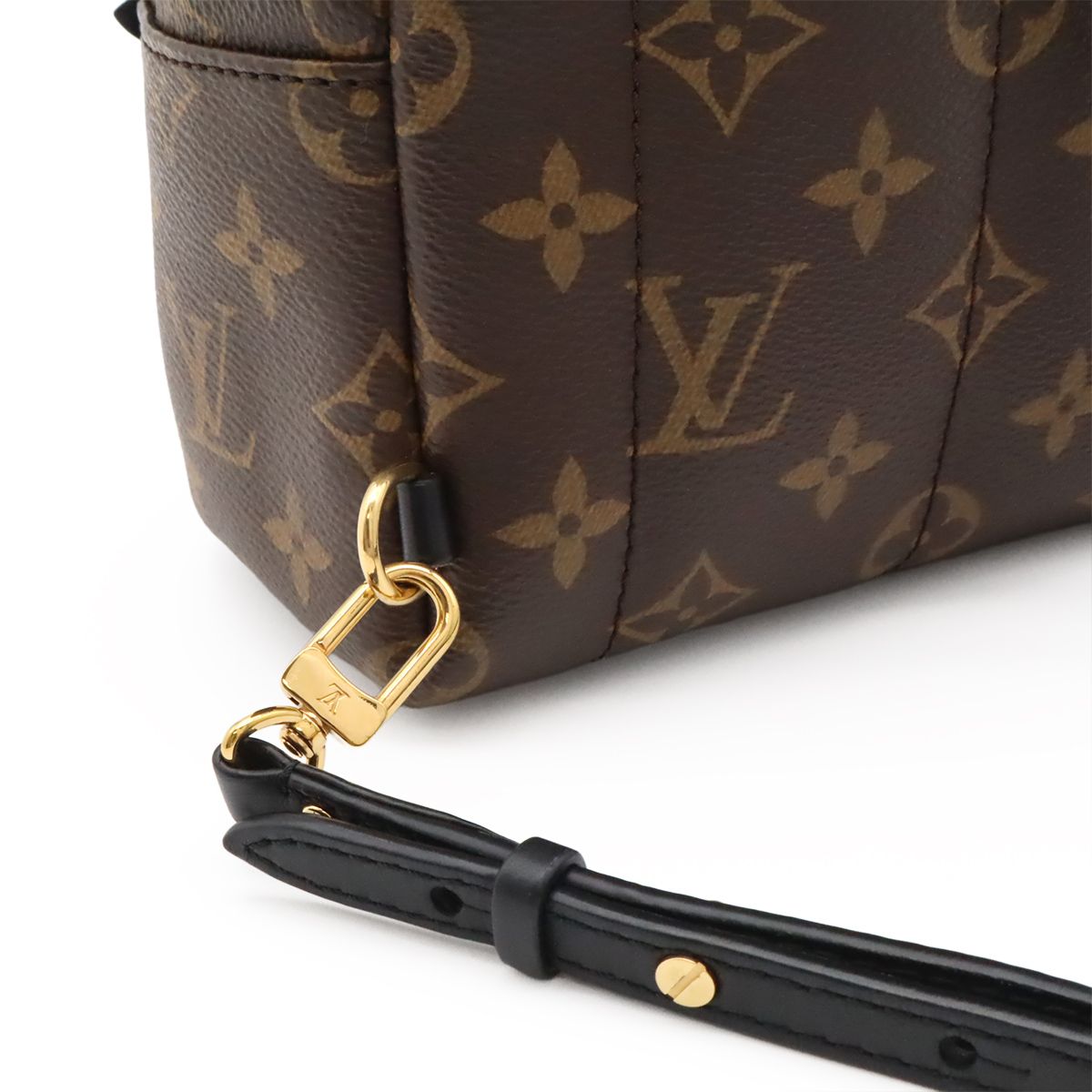 Louis Vuitton Monogram Palm Springs Backpack Mini 2-Way Shoulder Bag — view 5