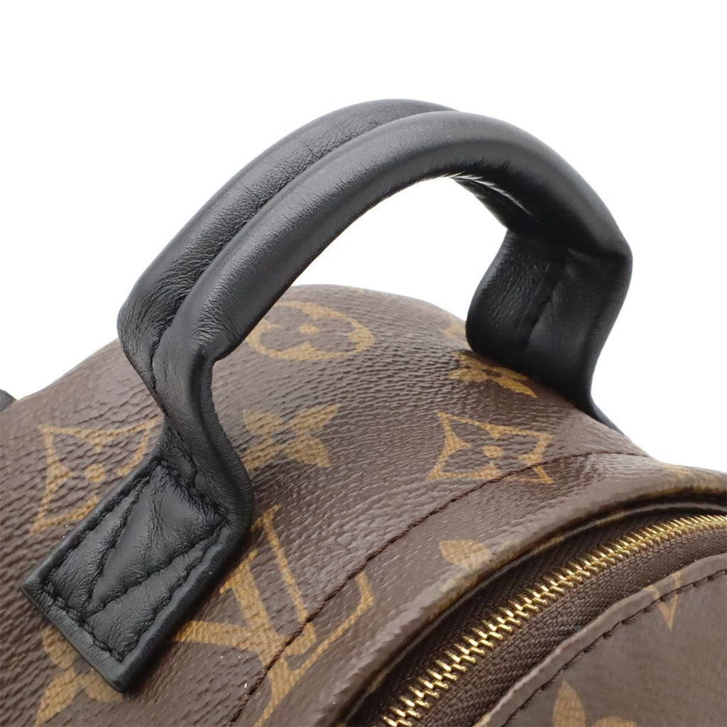 Louis Vuitton Monogram Palm Springs Backpack Mini 2-Way Shoulder Bag — view 6