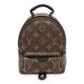 Louis Vuitton Monogram Palm Springs Backpack Mini 2-Way Shoulder Bag