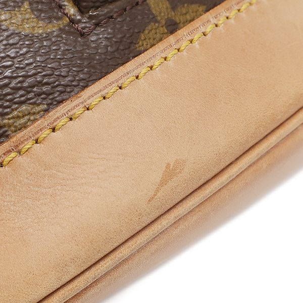Louis Vuitton Backpack Montsouris MM Monogram Canvas Gold Brown — view 5