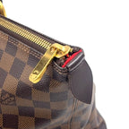 Louis Vuitton Saleya MM Damier Ebene Leather Brown Tote Bag Gold — view 8