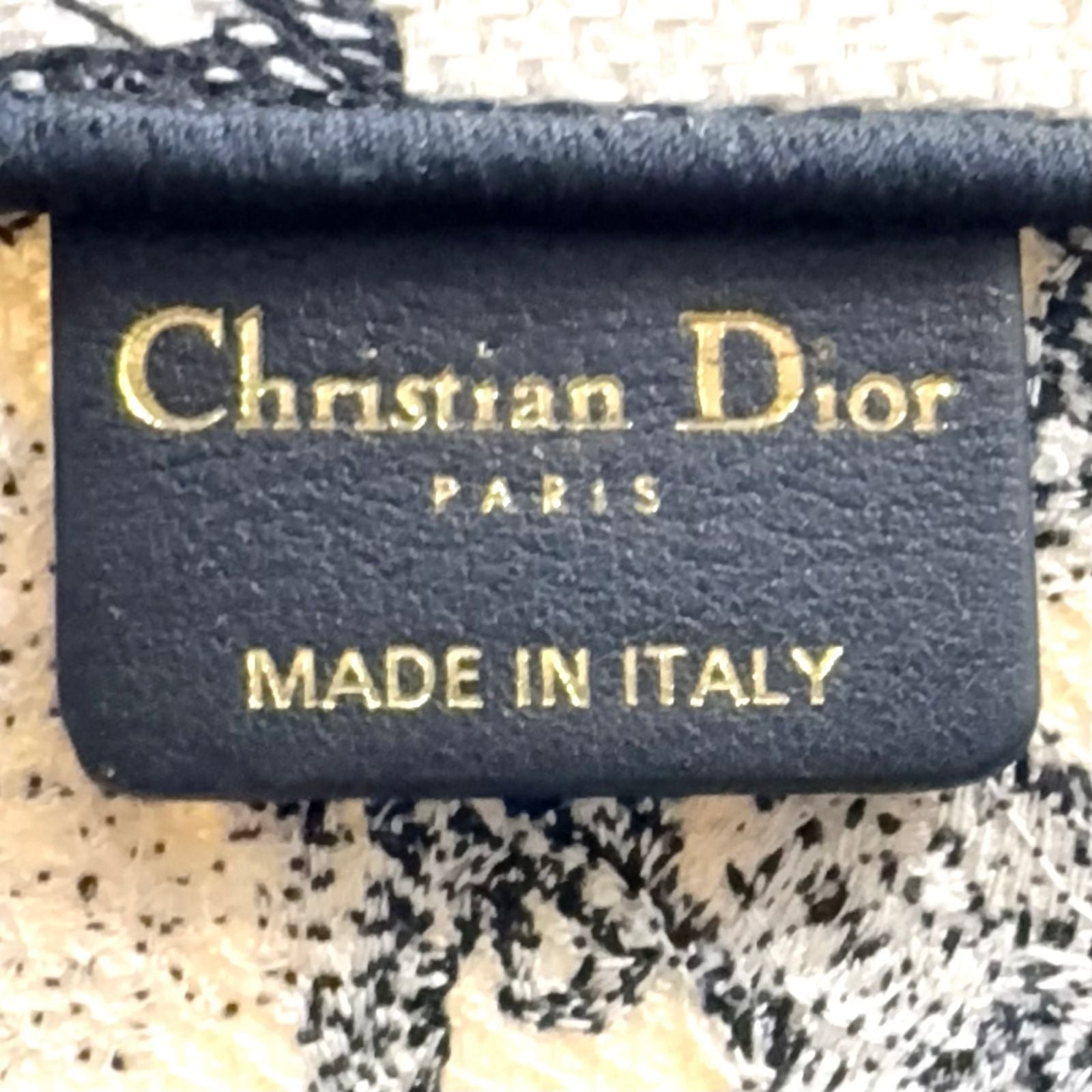 Dior Small Book Tote Bag Canvas Black White — view 4