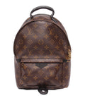 Louis Vuitton Backpack Palm Springs PM Monogram