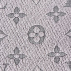 Louis Vuitton Tag Monogram Logomania Scarf Silk Gray — view 8