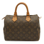 Louis Vuitton Monogram Speedy 25 Mini Boston Bag