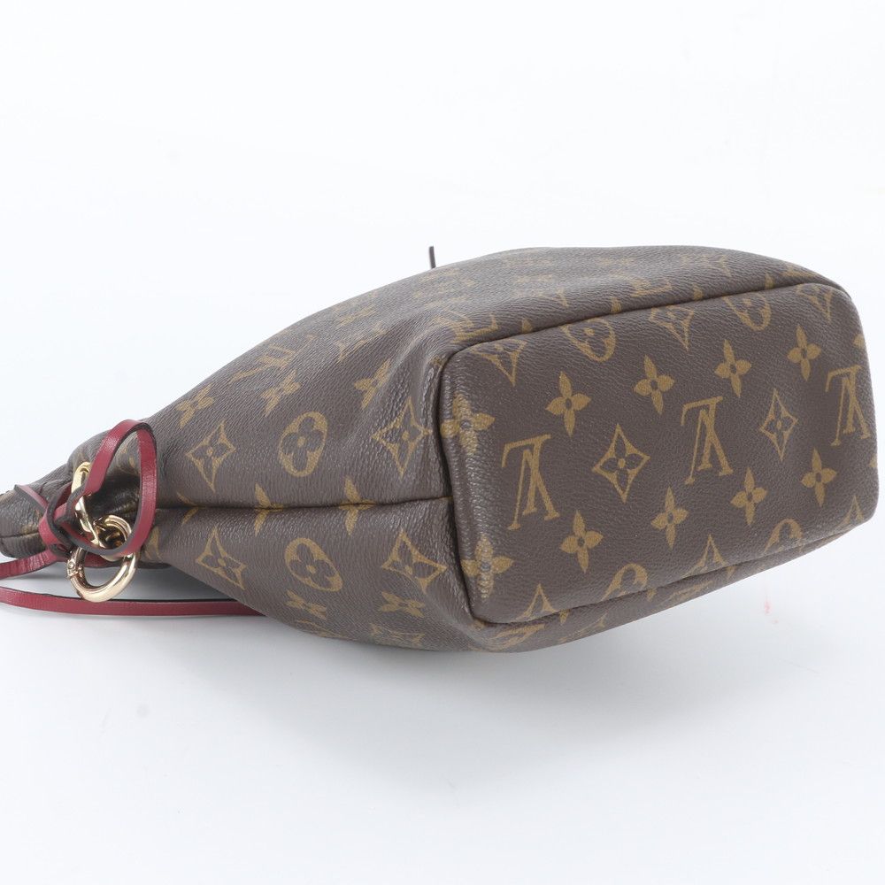 Louis Vuitton Monogram Posh Noe Leather Pouch — view 4