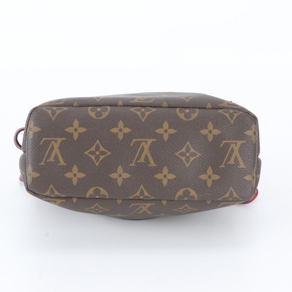 Louis Vuitton Monogram Posh Noe Leather Pouch — view 5