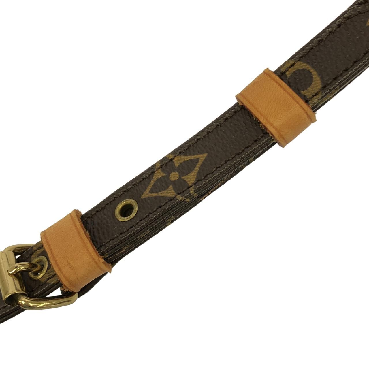 Louis Vuitton Vintage Monogram Amazon Shoulder Bag — view 8
