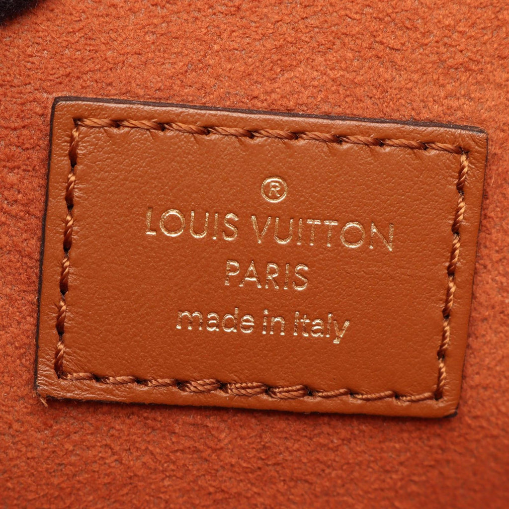Louis Vuitton Tote Bag Saint Jacques Natural Brown Spring in the City — view 4