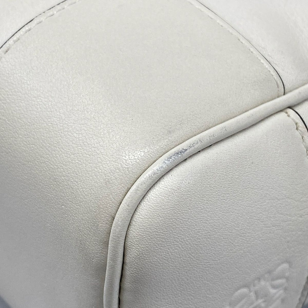 Loewe Amazona Ivory Mini Bag Joe Brainerd Leather — view 6
