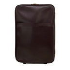 Louis Vuitton Travel Bag Taiga Pegase 60 Acajou Leather