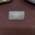 Louis Vuitton Travel Bag Taiga Pegase 60 Acajou Leather — view 8