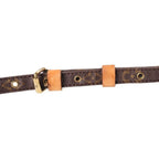 Louis Vuitton Monogram Danube Mini Shoulder Bag Brown Leather Gold — view 7