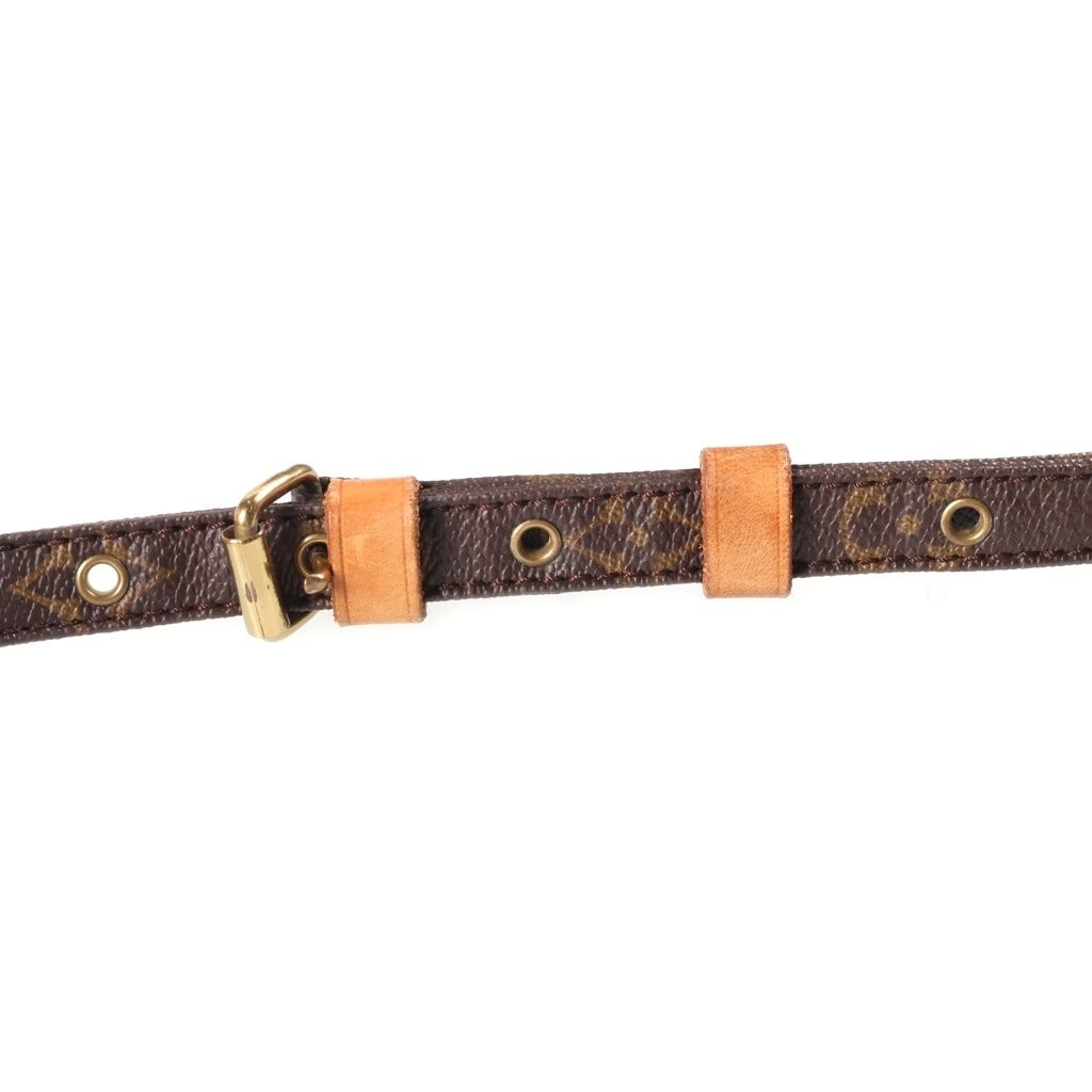 Louis Vuitton Monogram Danube Mini Shoulder Bag Brown Leather Gold — view 7