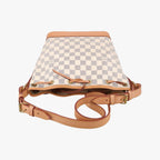 Louis Vuitton Noe BB Azur Damier Canvas Bucket Bag — view 8