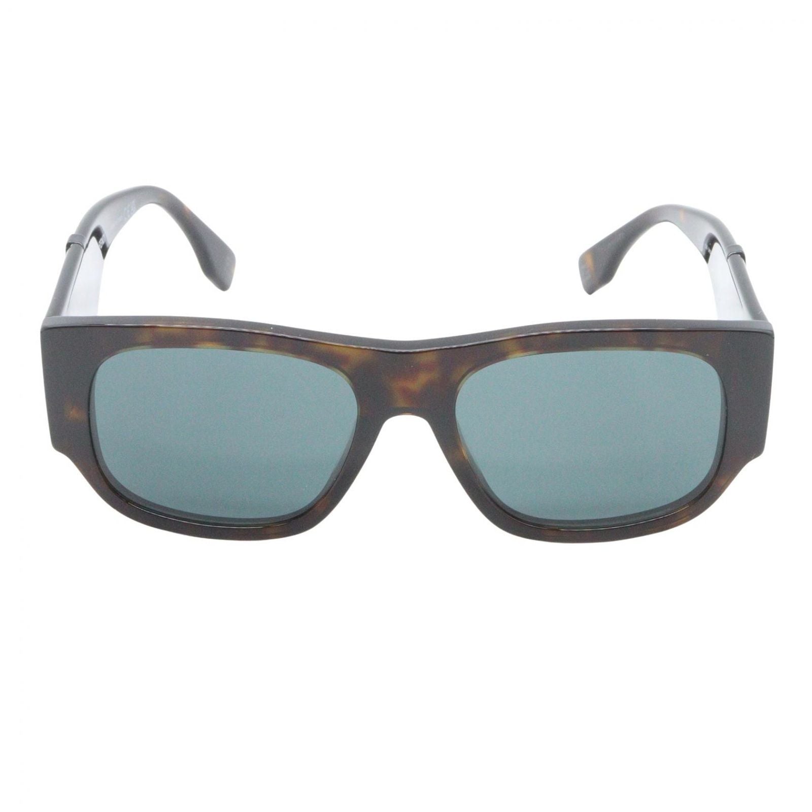 Fendi Sunglasses Eyewear Brown