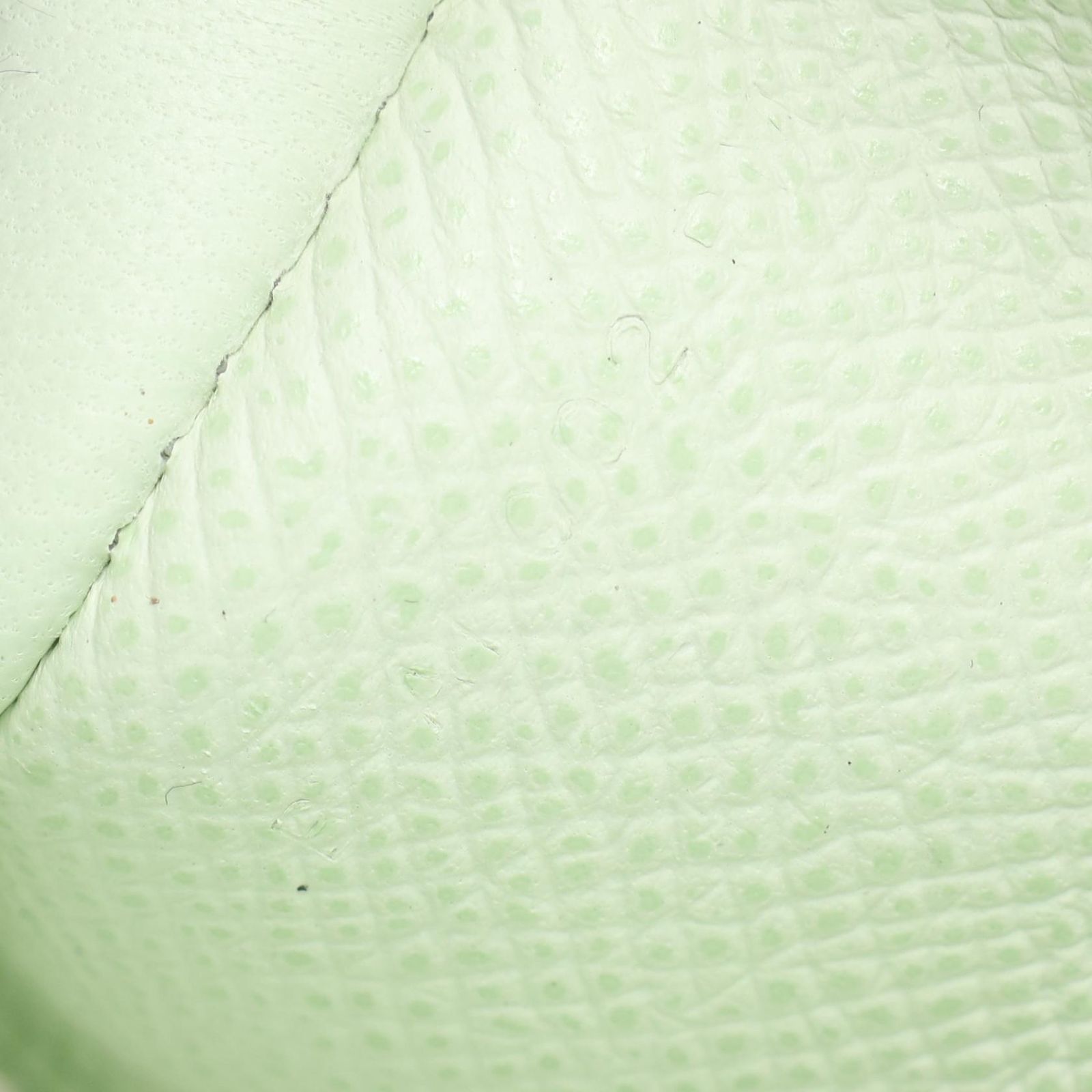 Hermes Shoulder Bag Kelly to Go Vert Fizz Leather Long — view 5