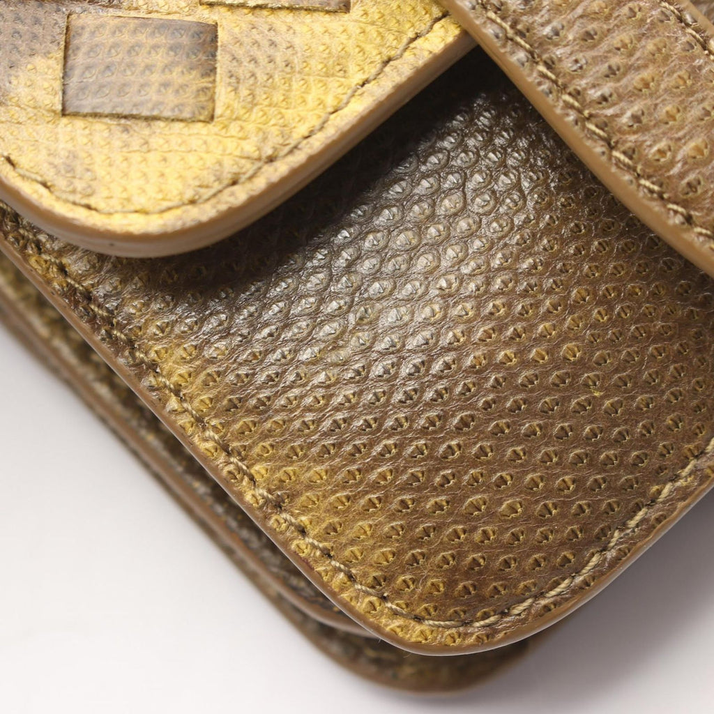 Bottega Veneta Handbag Duo Yellow Brown Exotic Leather — view 6