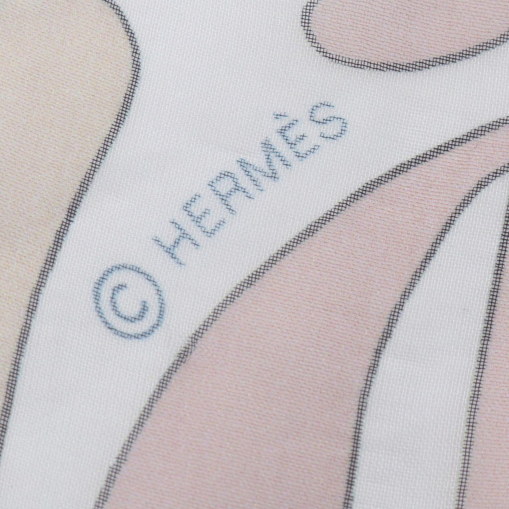 Hermes Scarf Shawl Carre Millefleurs du Mexique Chiffon Silk — view 3