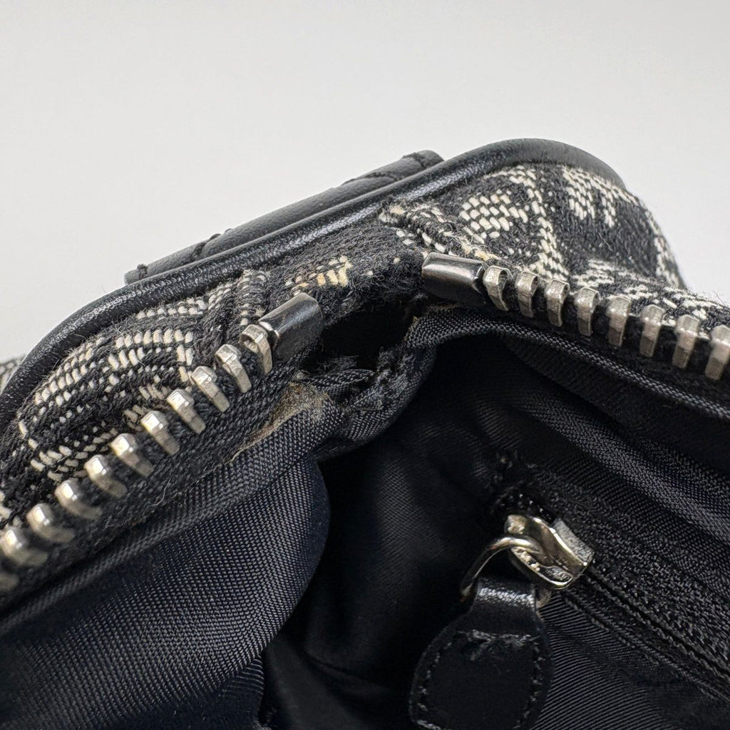 Dior Handbag Trotter Pattern Canvas Black — view 6