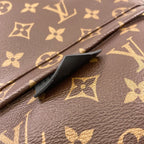 Louis Vuitton Palm Springs MM Backpack Monogram Canvas — view 8