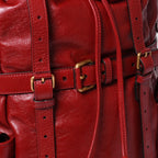 Gucci Backpack Rebel Tiger Cat Head GG Marmont Red Leather — view 7
