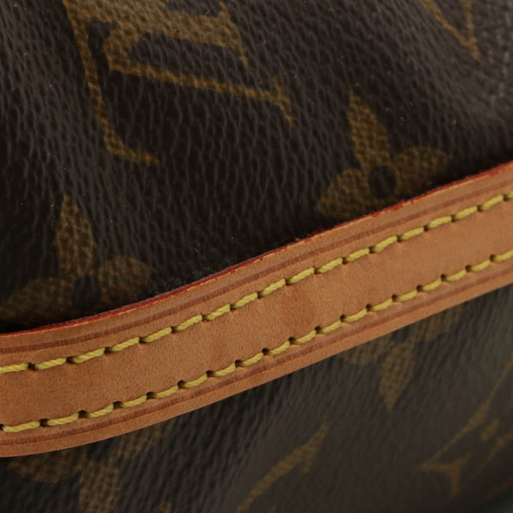 Louis Vuitton Nano Noe Monogram Shoulder Bag Canvas — view 4