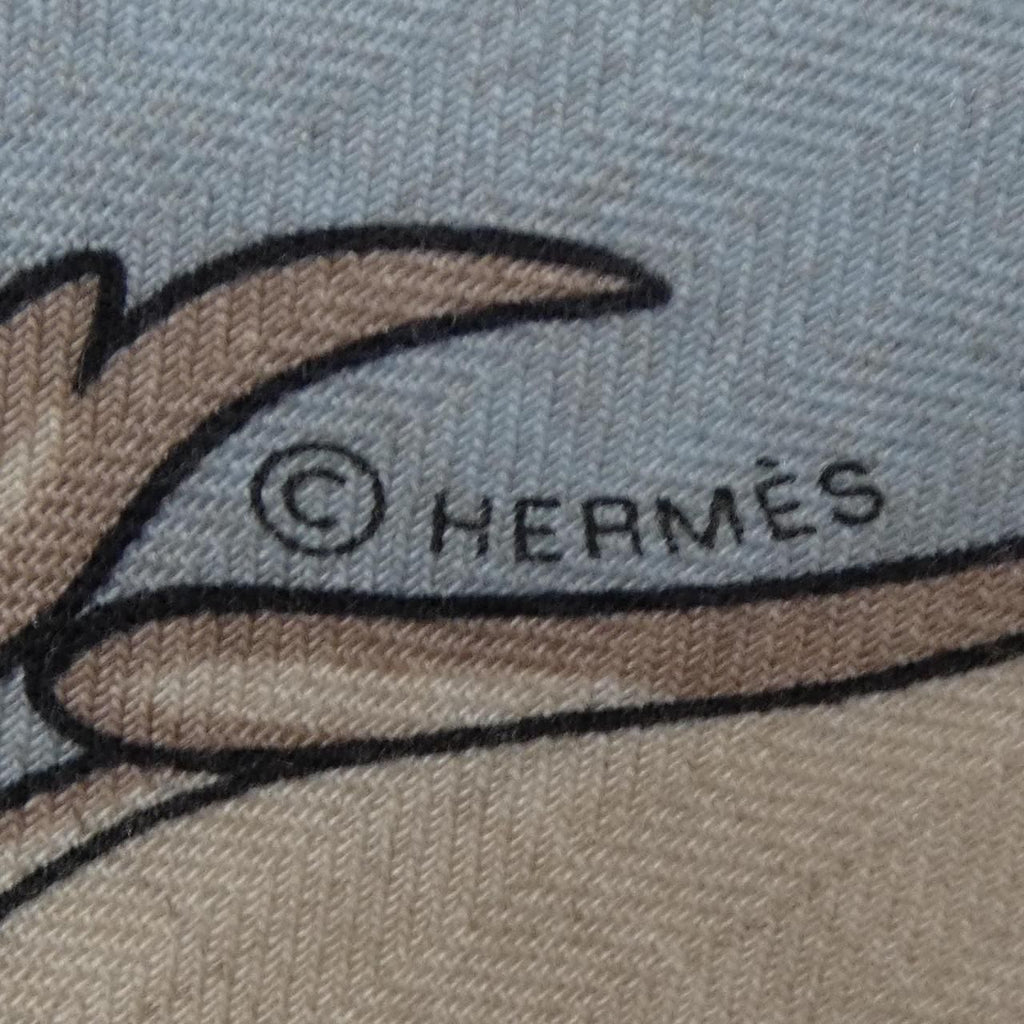Hermes Coupe 'de Gala Carre Geant 140 Shawl Scarf — view 4
