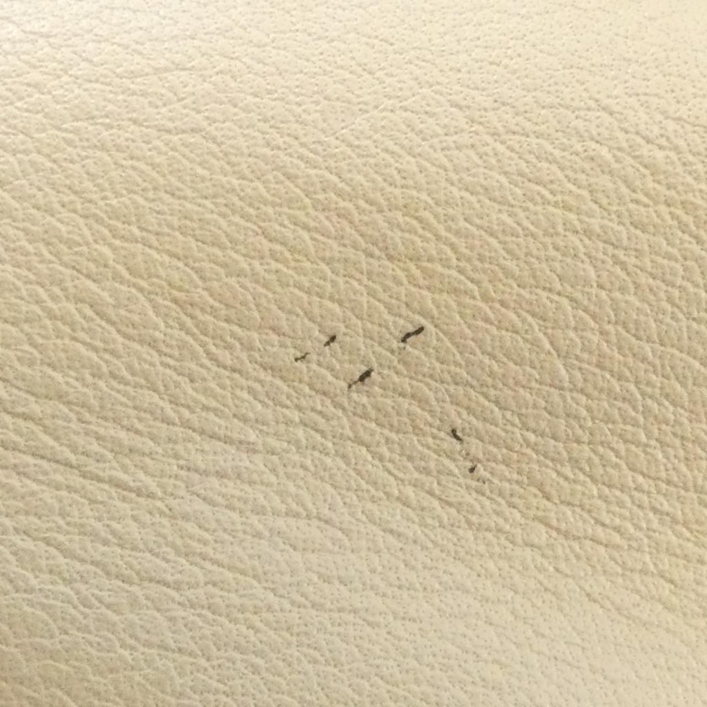 Loewe Hammock Small Shoulder Bag — view 5