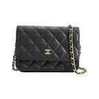Chanel Chain Wallet Mini Classic Shoulder Bag