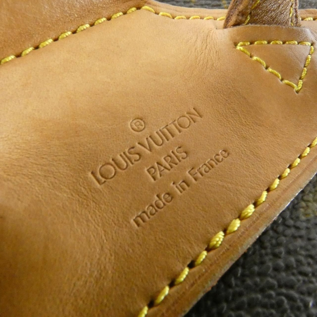 Louis Vuitton Monogram Montsouris MM Backpack — view 6