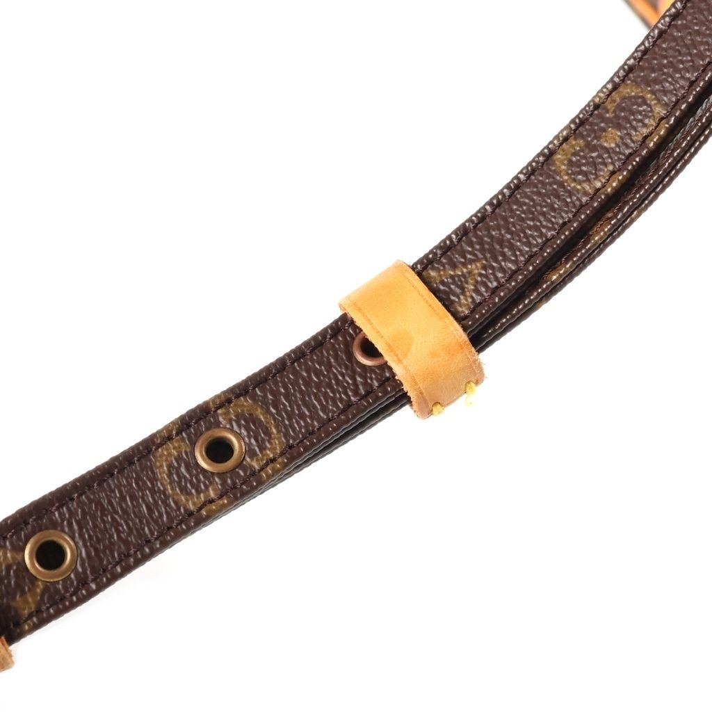 Louis Vuitton Monogram Amazon Shoulder Bag Leather Brown — view 7