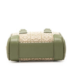 Loewe Repeat Anagram Amazona 12 Mini Chain Shoulder Bag 2-Way Green Gold Canvas — view 3