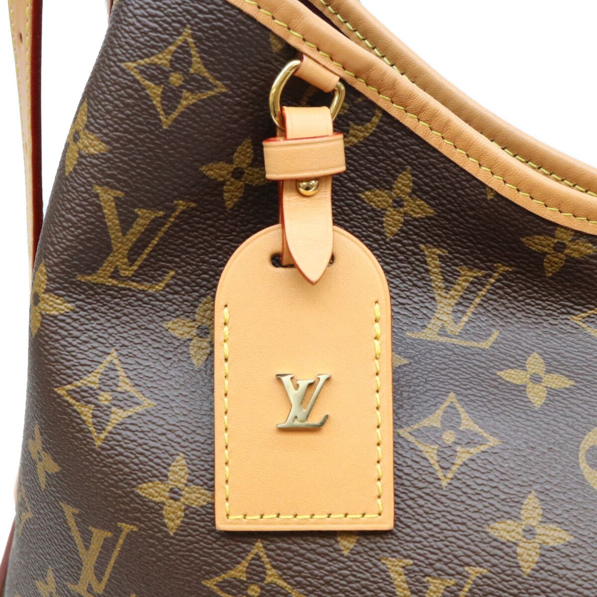 Louis Vuitton Monogram Carryall NM MM Shoulder Bag — view 6