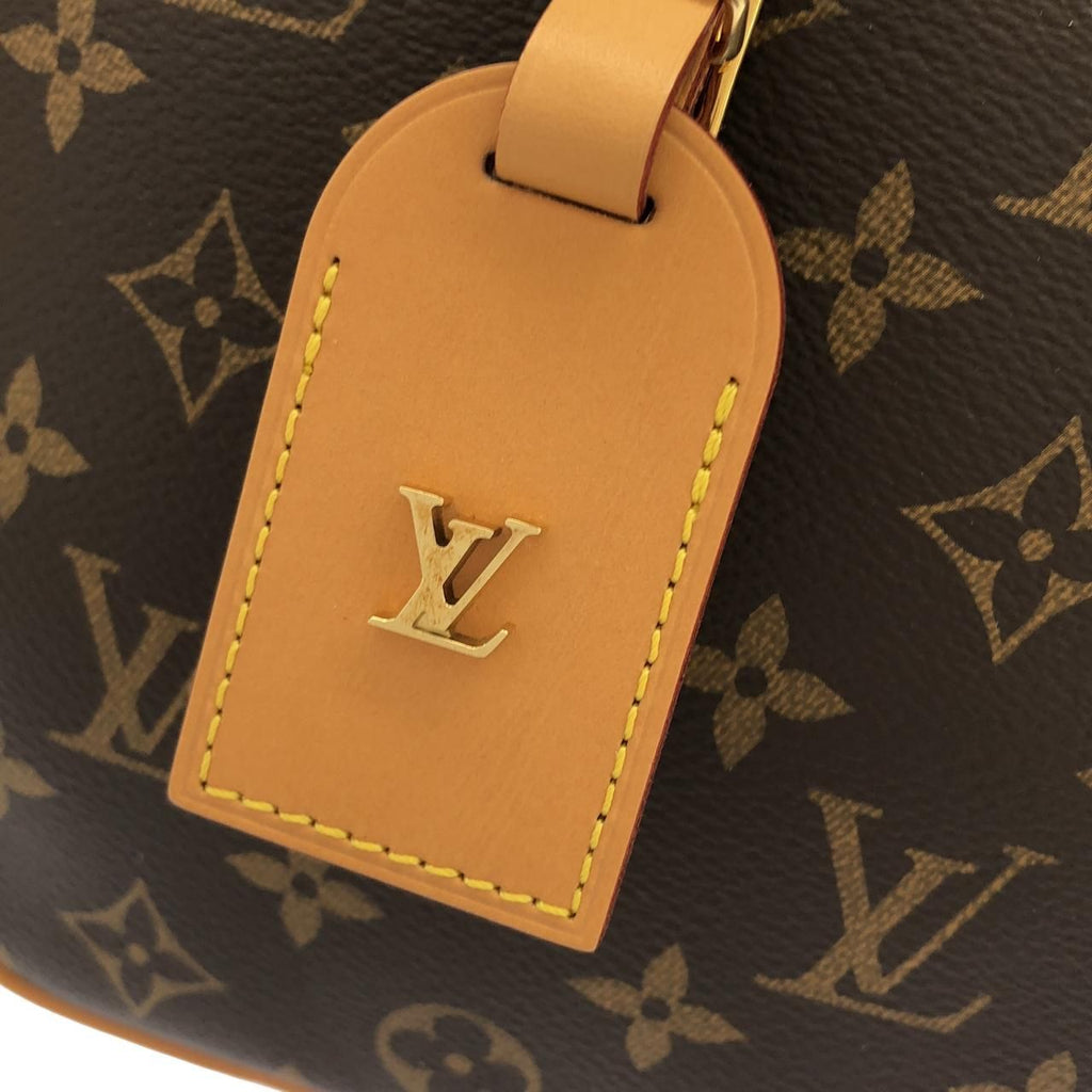 Louis Vuitton Monogram Boite Chapeau Souple MM Shoulder Bag — view 5