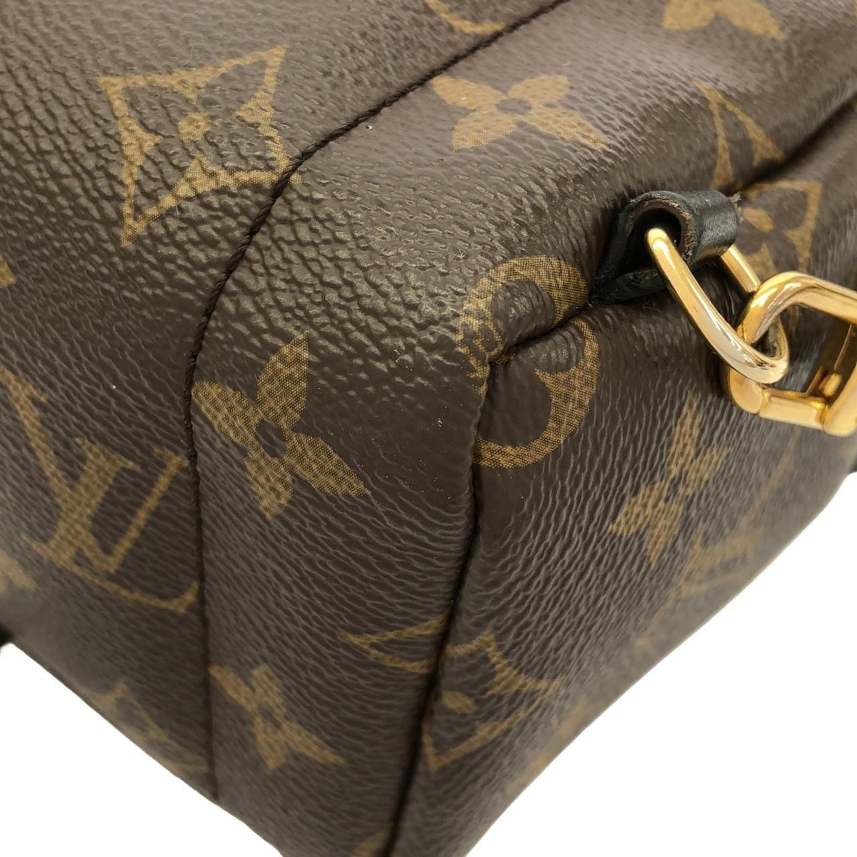 Louis Vuitton Monogram Palm Springs Backpack — view 3