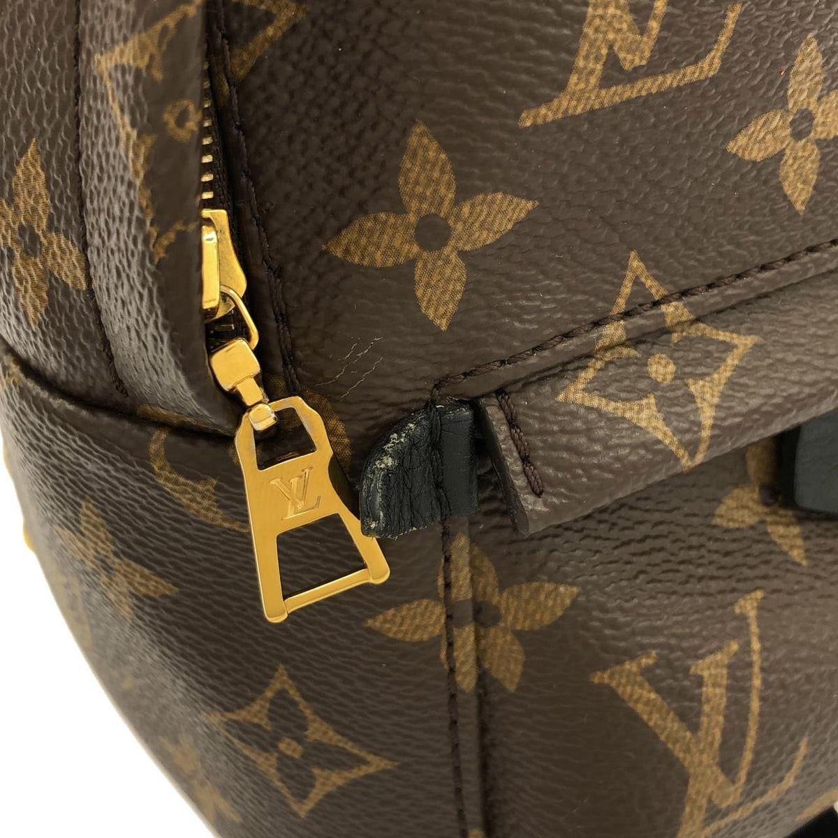 Louis Vuitton Monogram Palm Springs Backpack — view 4