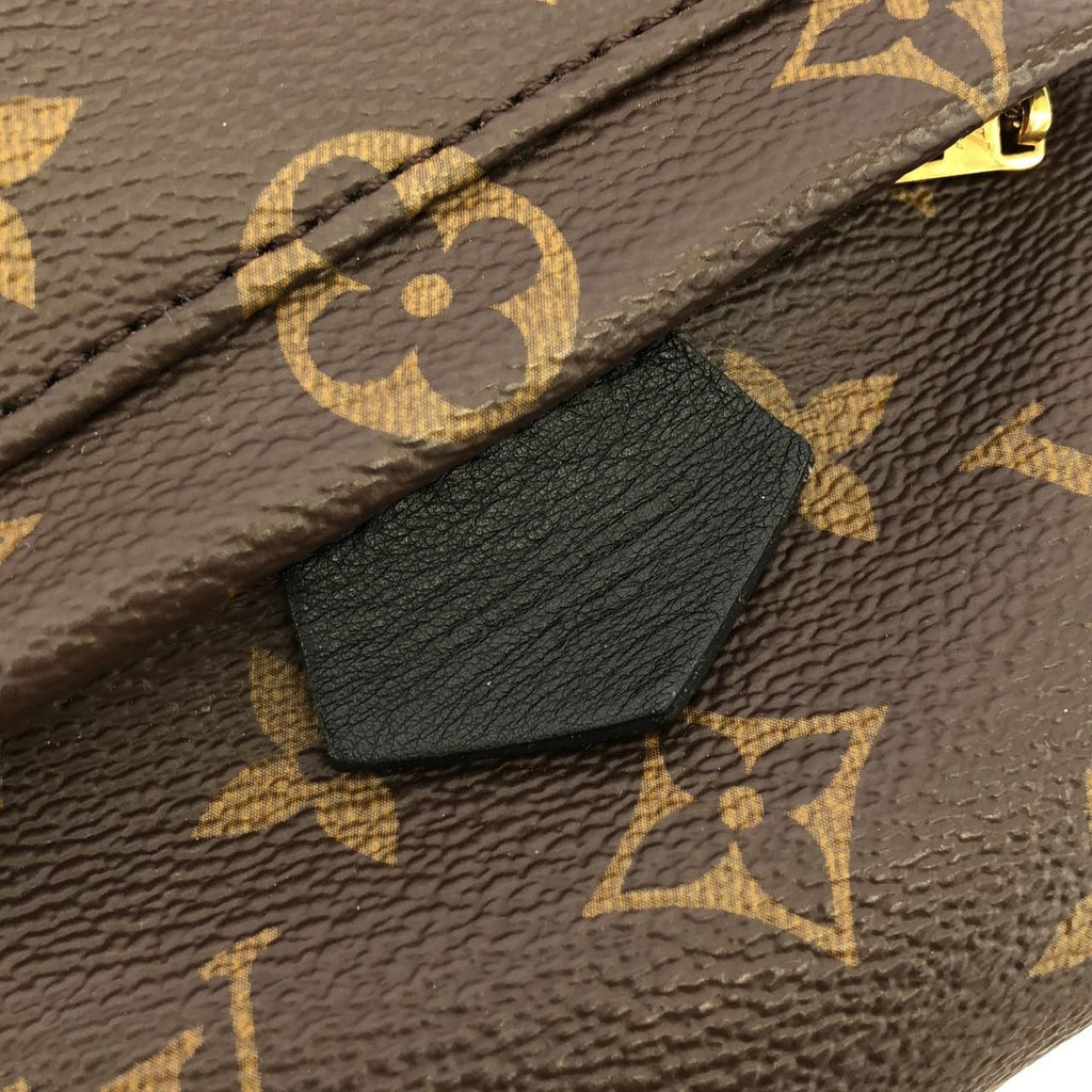Louis Vuitton Monogram Palm Springs Backpack — view 6