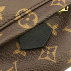 Louis Vuitton Monogram Palm Springs Backpack — view 6